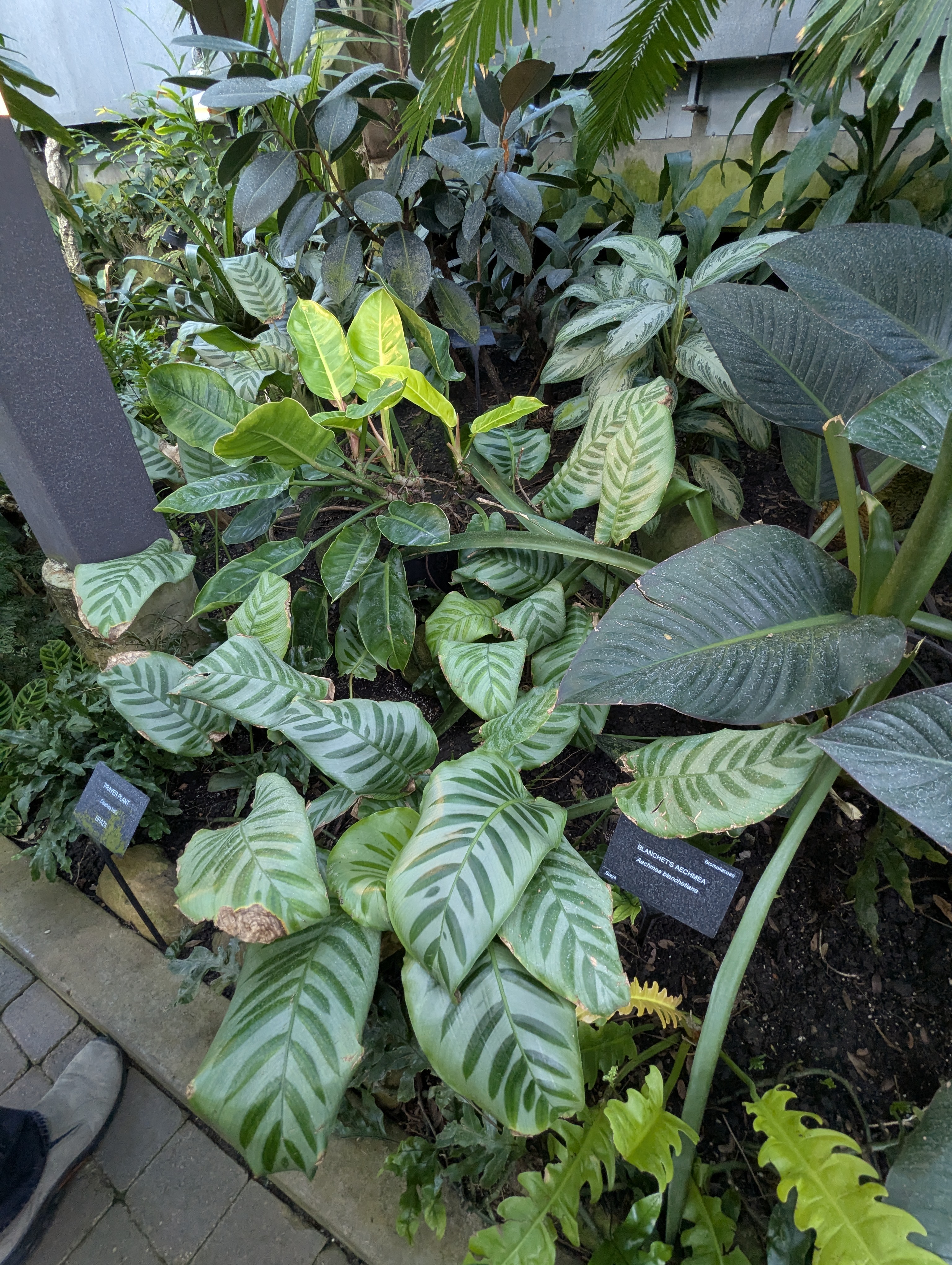 Birthday Trip to Canada, Edmonton, Pyramids, Muttart Observatory